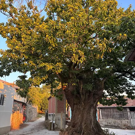 Casa Toubesa *